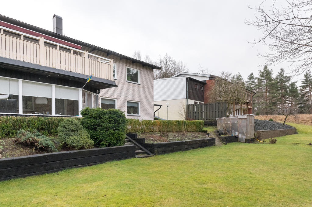 Trädgård