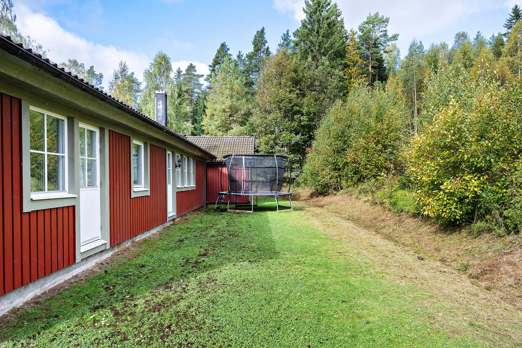 Trädgård