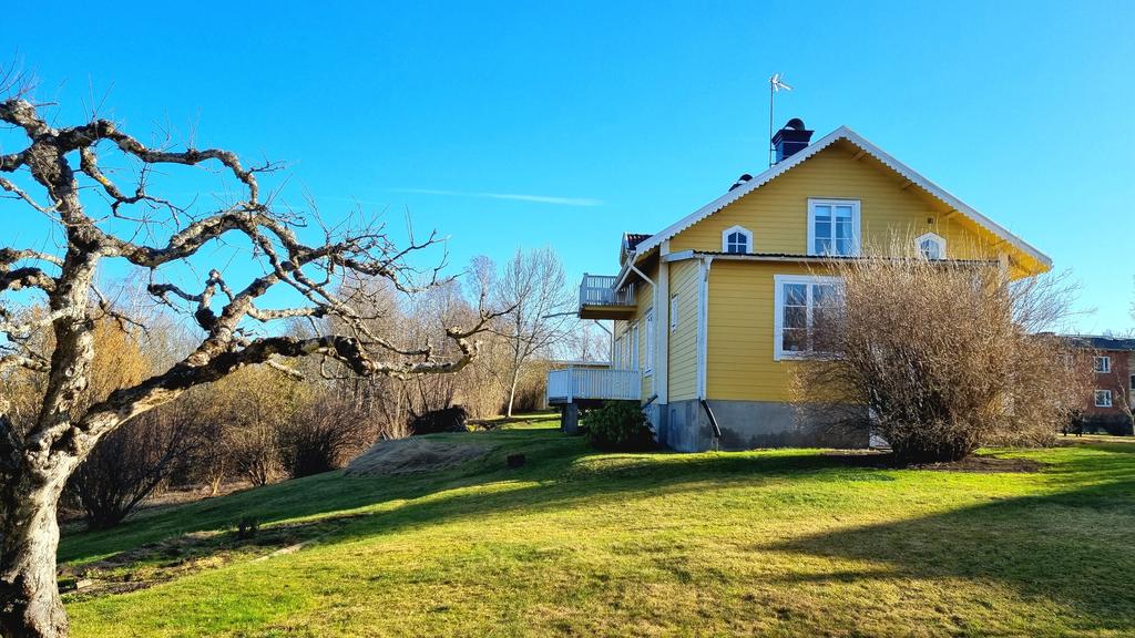 Trädgårdstomt med äppelträd, bärbuskar och perenner - altan och balkong på husets baksida