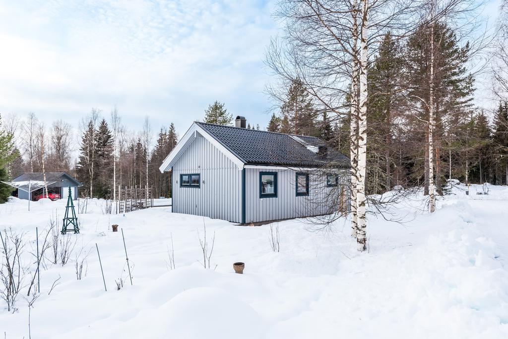 Exteriör
