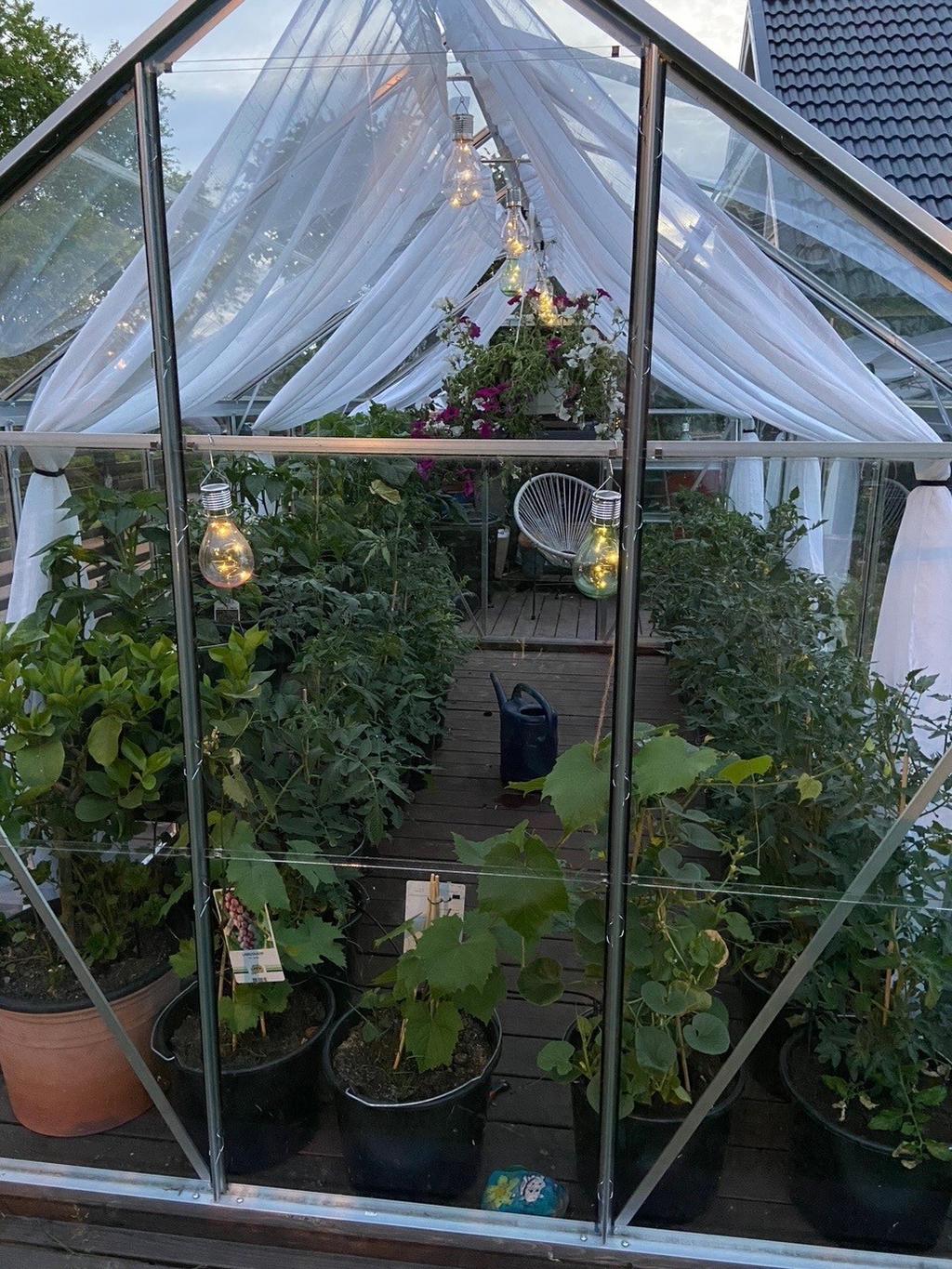 Växthus med goda odlingsmöjligheter