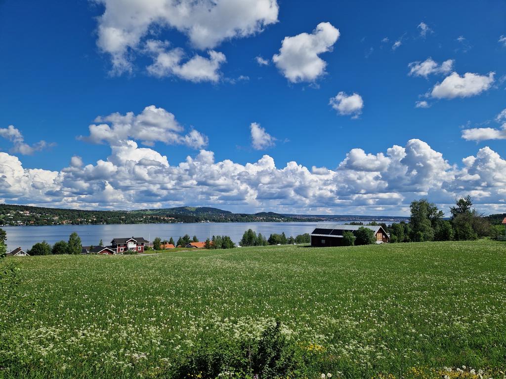 Vy från strax nedanför fastigheten. Ägarens egna bilder.