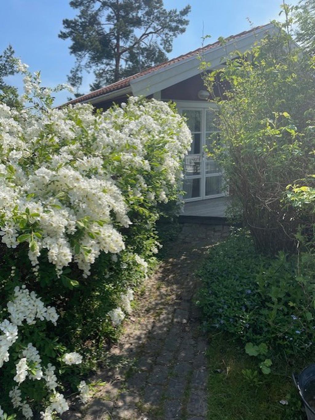 Säljaren bild.
