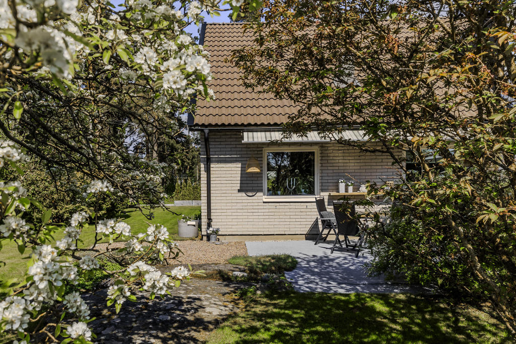 Uteplats ia anslutning till entrén