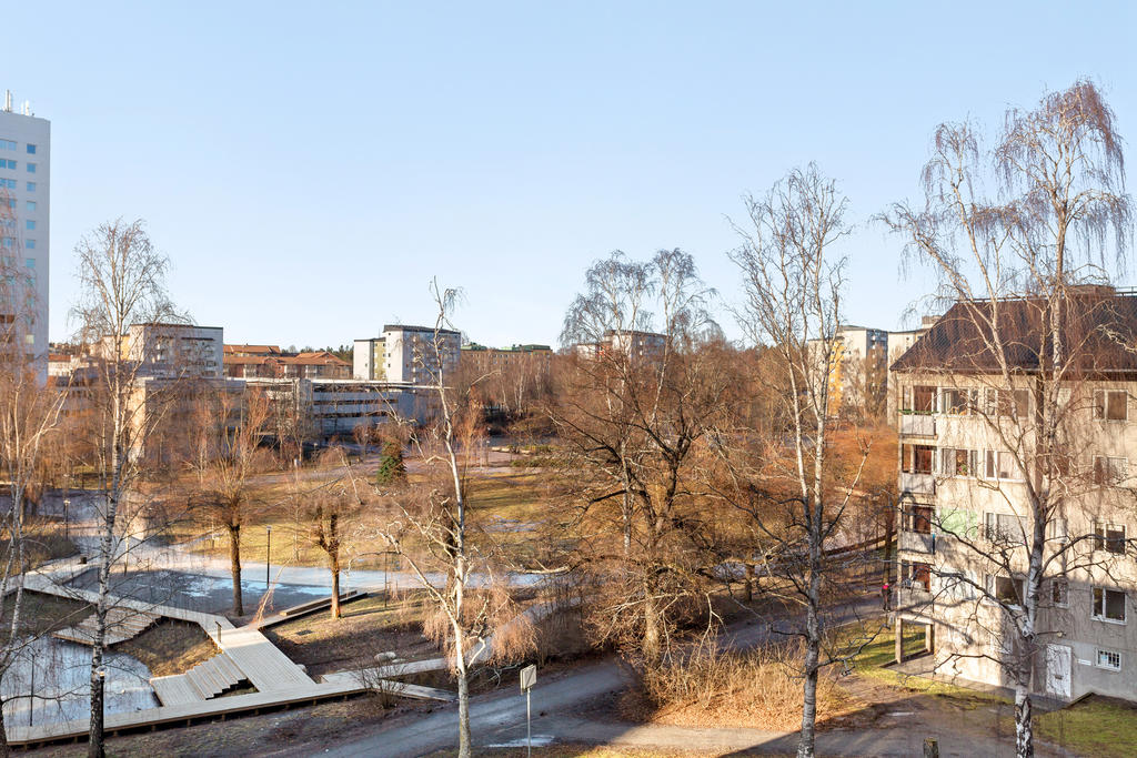 Utsikt från köket
