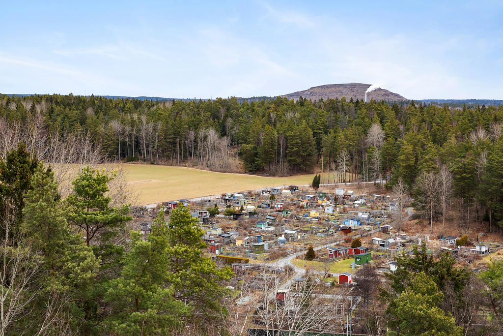 Koloniområdet intill