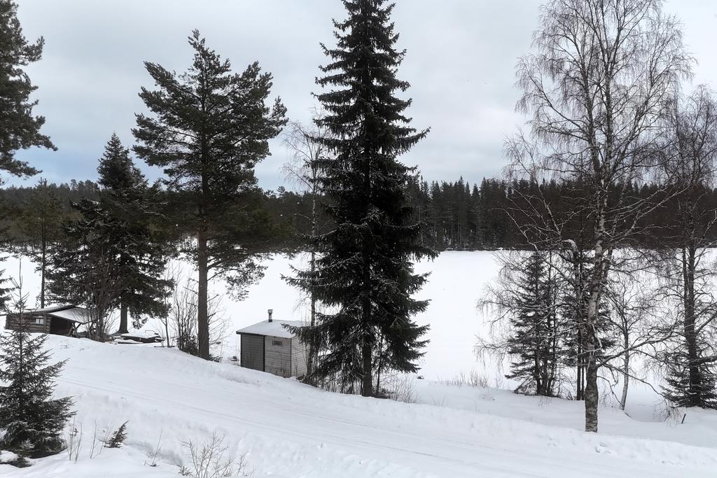 Utsikt från verandan