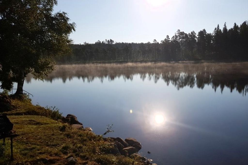 Säljarens bild