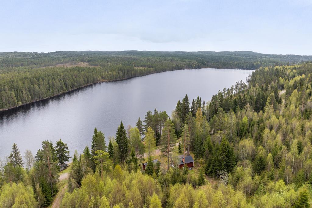 Tryssjön från ovan