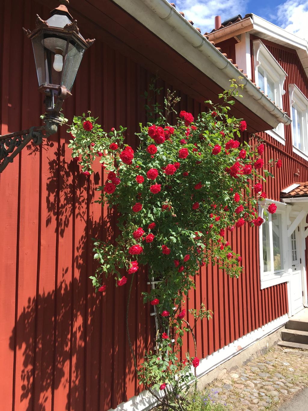 Säljarens sommarbild