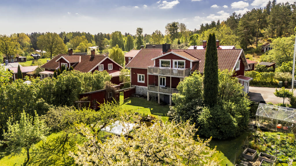 Underbar uppväxt trädgård