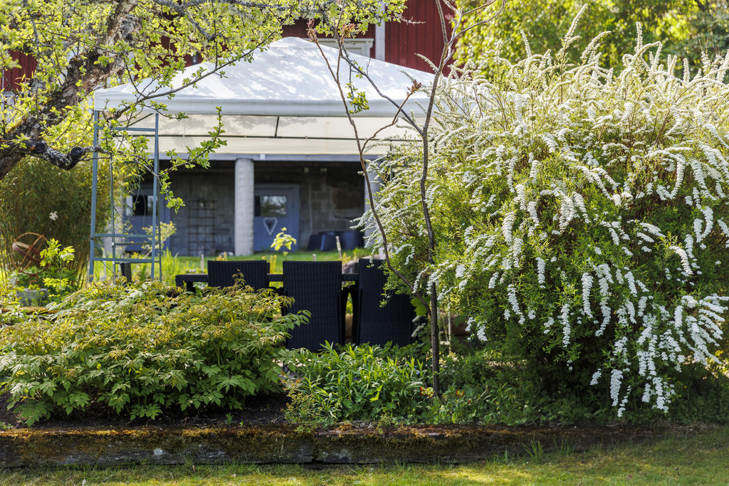 Detaljbild trädgården