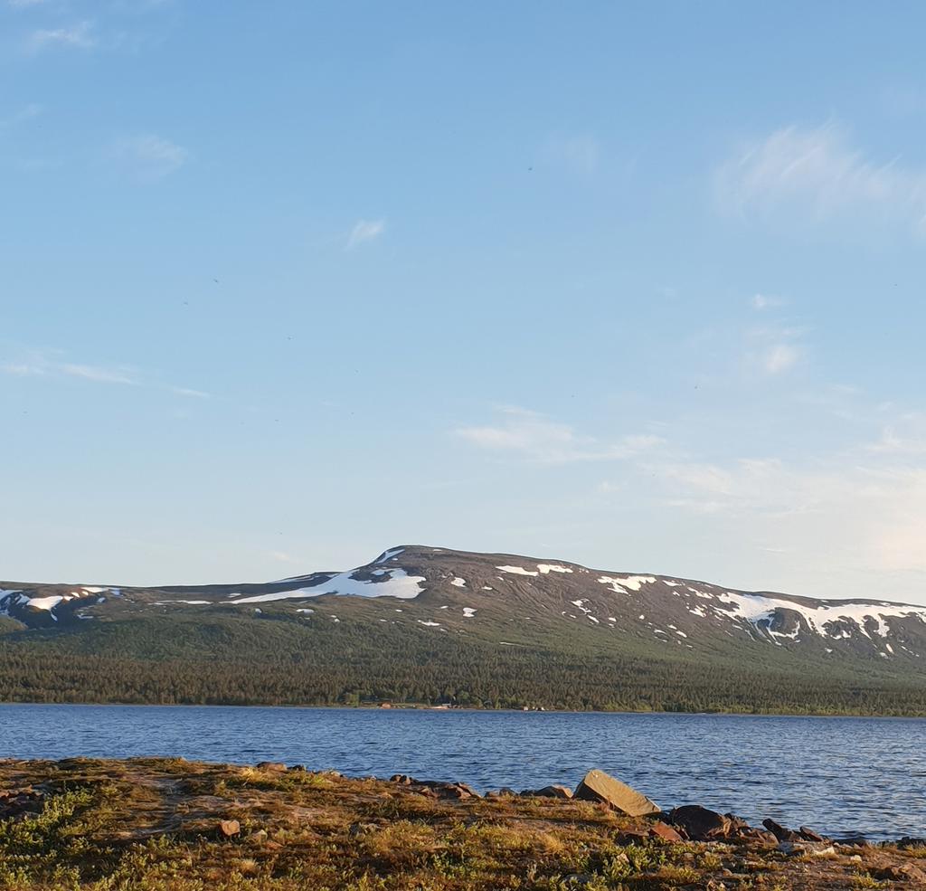 Säljarens egna bild