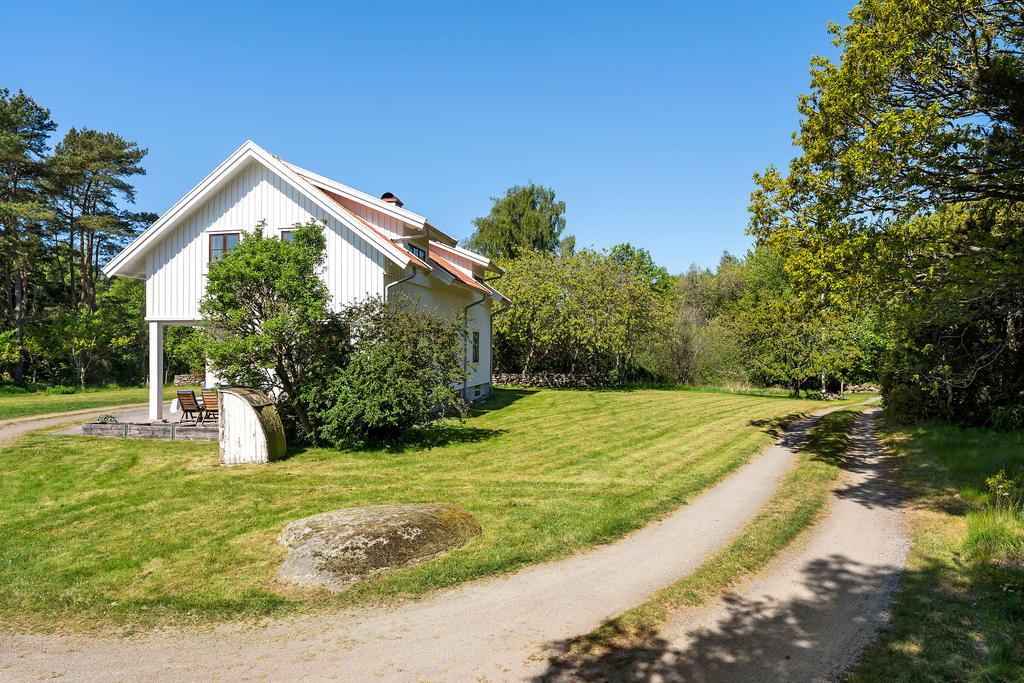 Stora härliga grönytor 