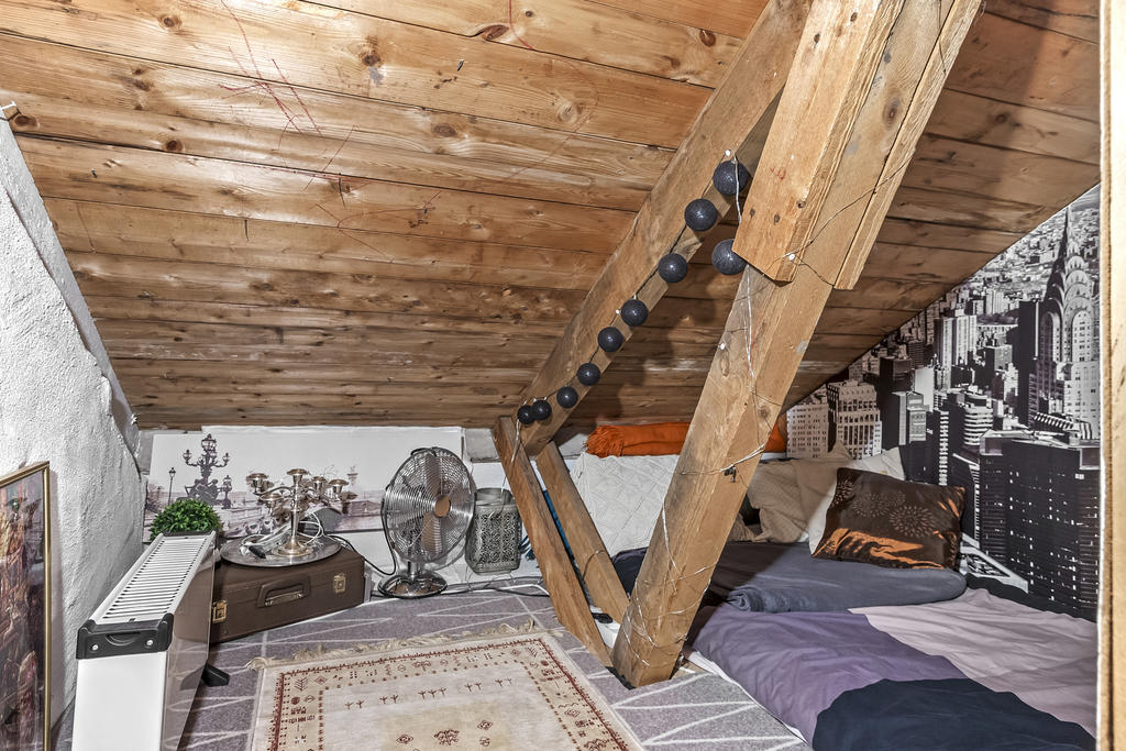 Mysigt kryp-in