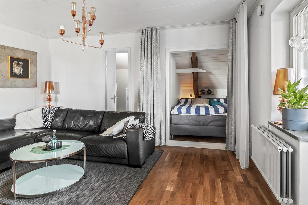 Vardagsrum med sovalkov