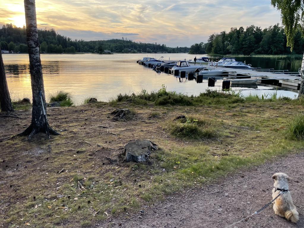 Säljarens egna sommarbilder
