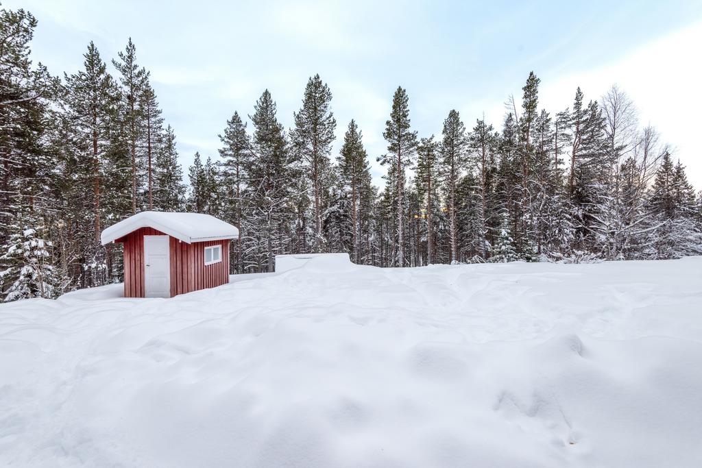 Bakgård. Enklare förråd samt timrat förråd nedanför