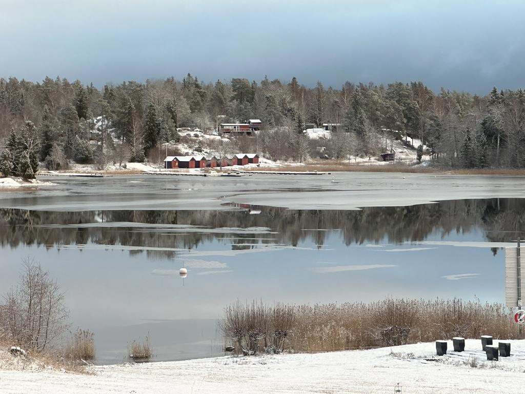 Säljarens foto