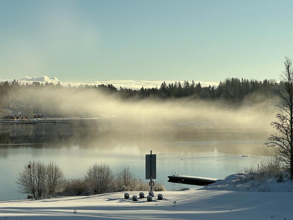 Säljarens foto