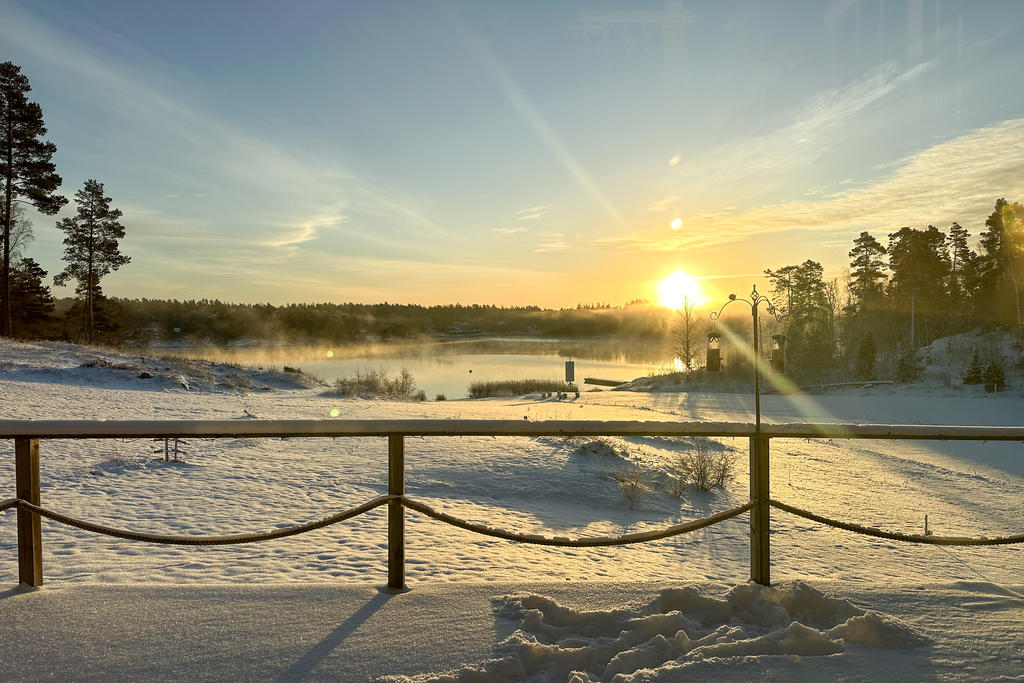 Säljarens foto