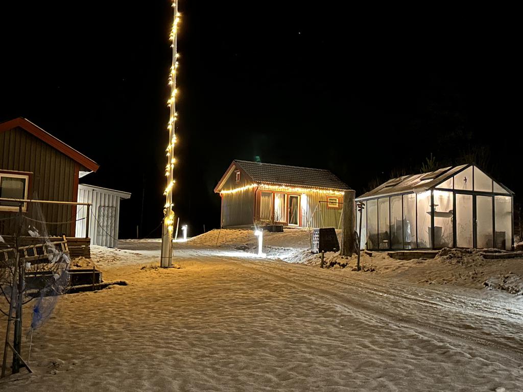 Säljarens foto