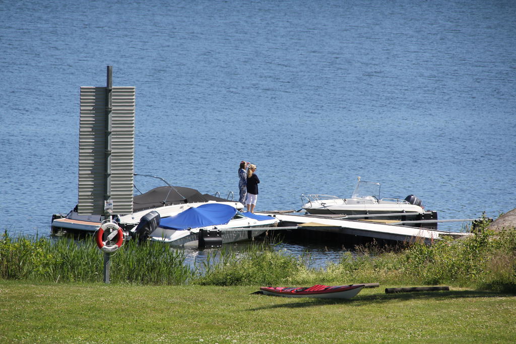 Säljarens foto
