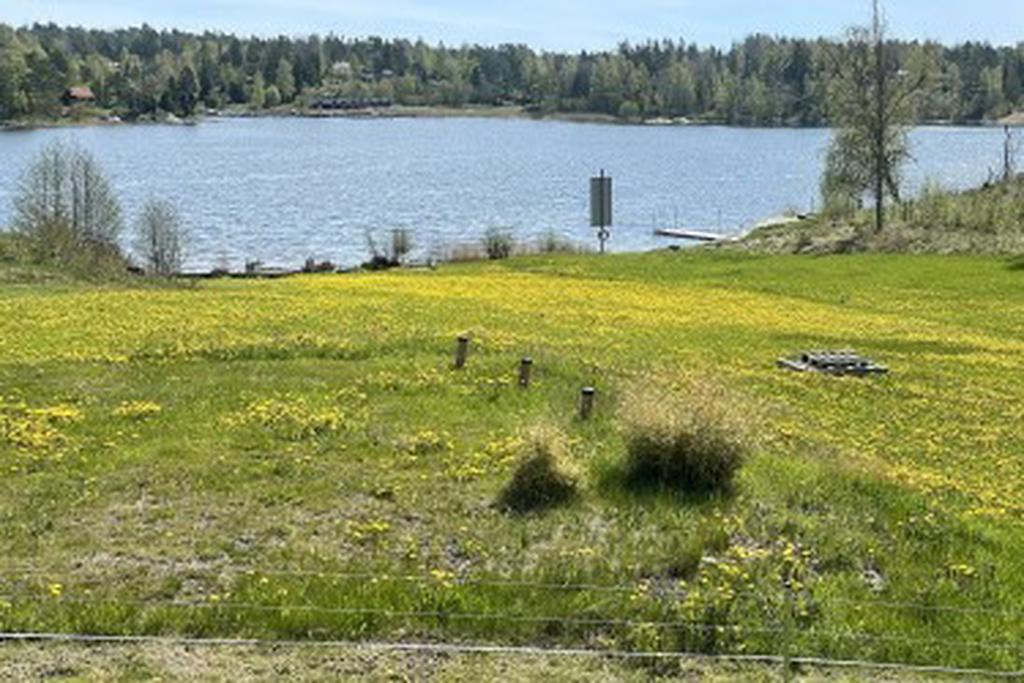 Säljarens foto