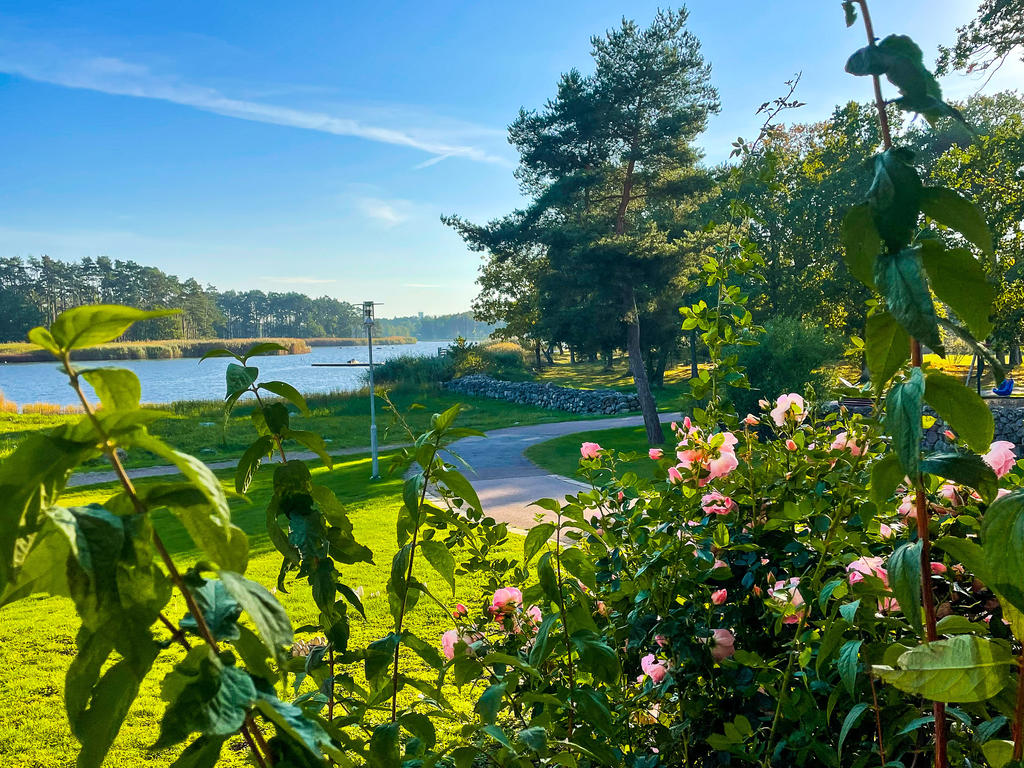 Säljarens sommarbilder!