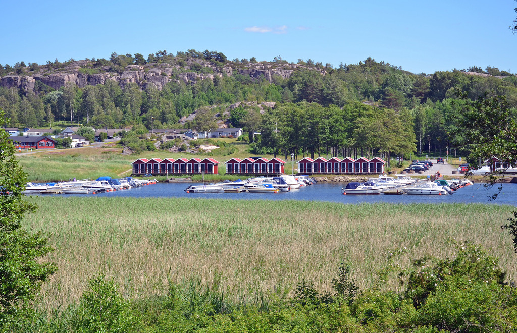 Miljöbild Bräcke hamn