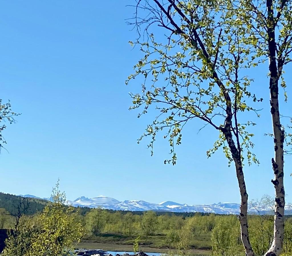 Säljarens bild fotad från gården 