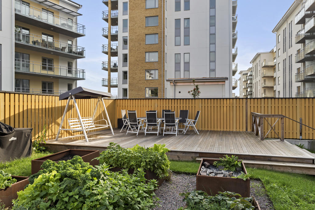 Grönskande innergård