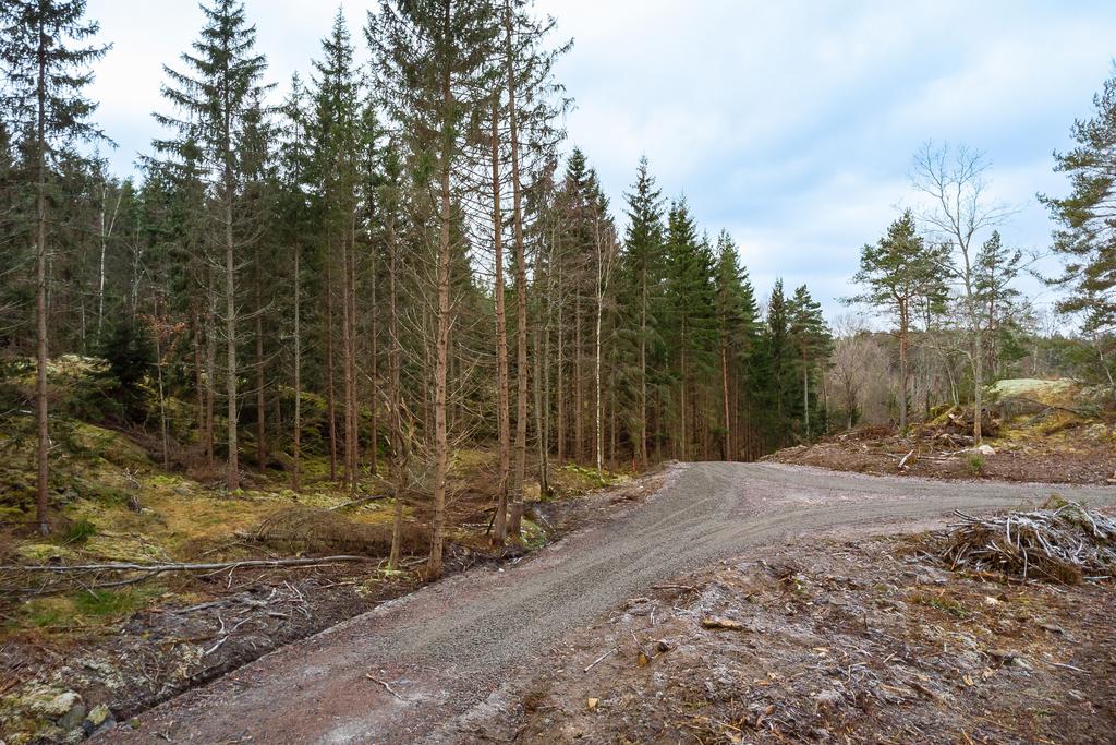 5 st byggfärdiga tomter strax utanför Luddingsbo