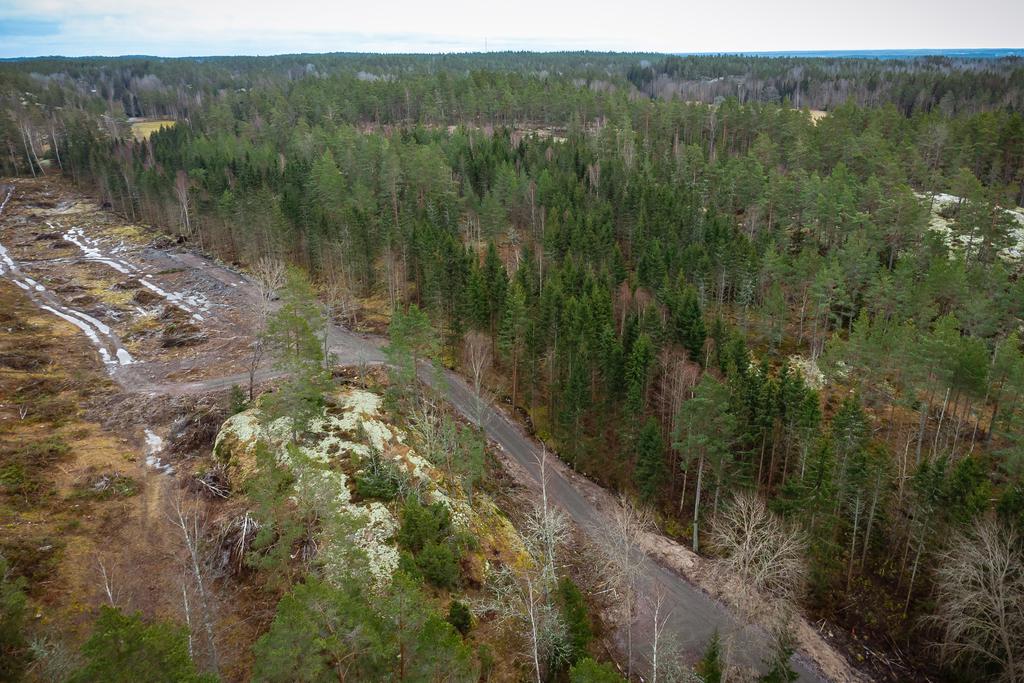 Här skapas 10 nya tomter