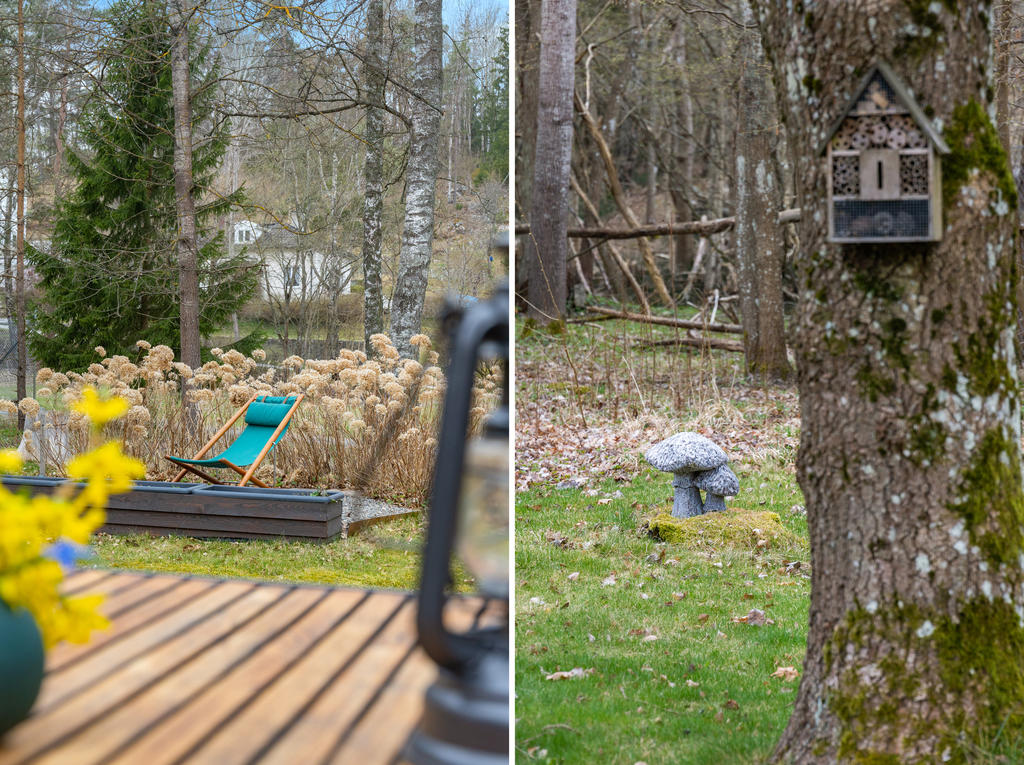 Trädgård detaljbilder