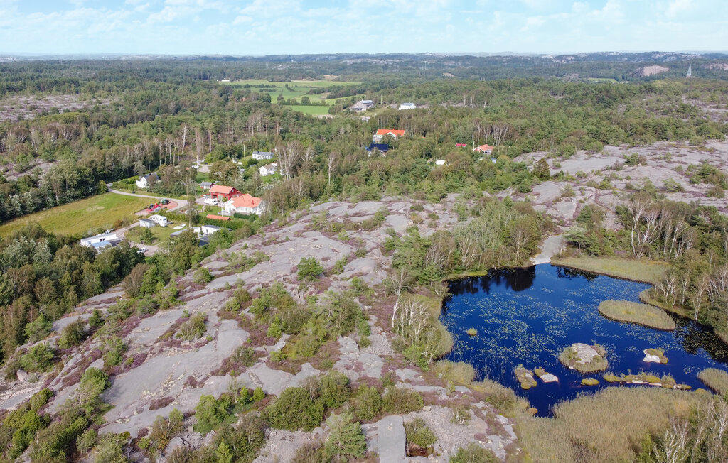 Drönarvy