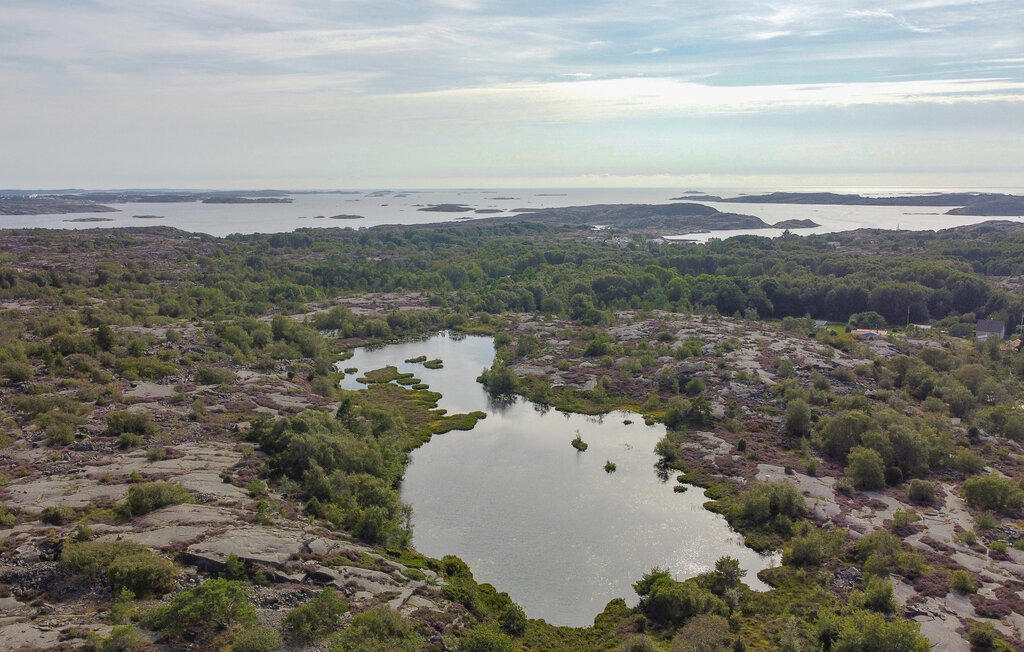 Drönarvy