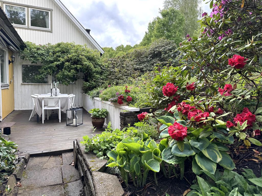 Uteplats i trädgården