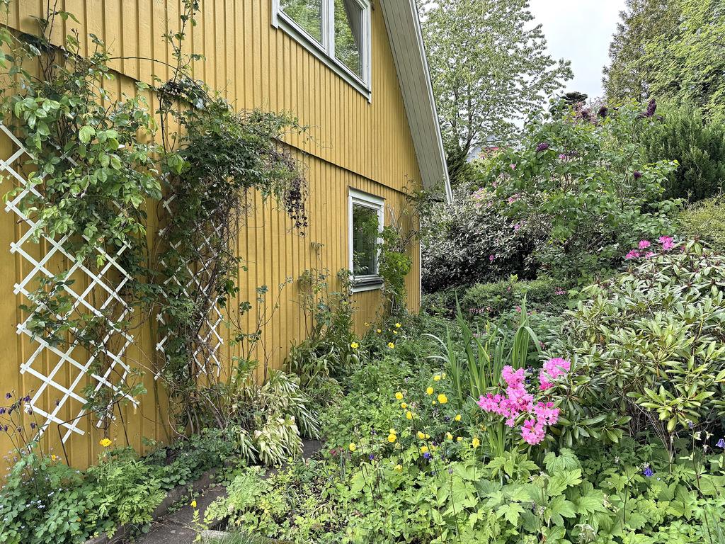 Härliga blomstriga rabatter