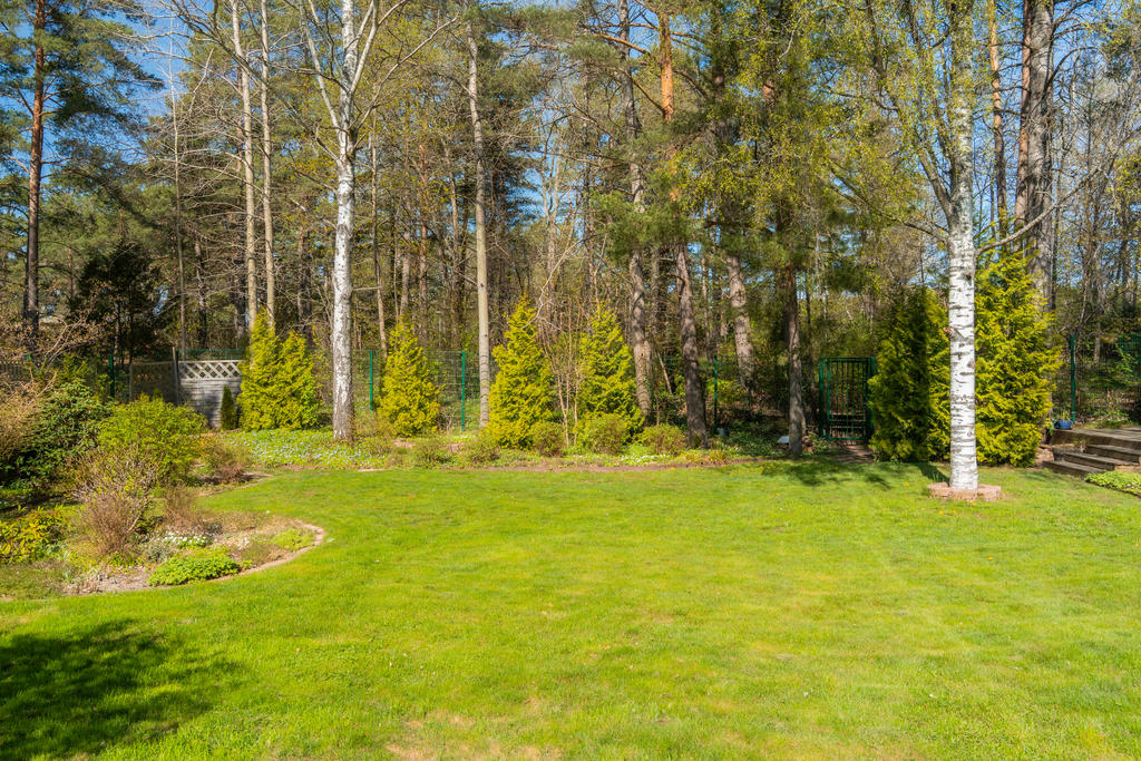 Trädgårdssida