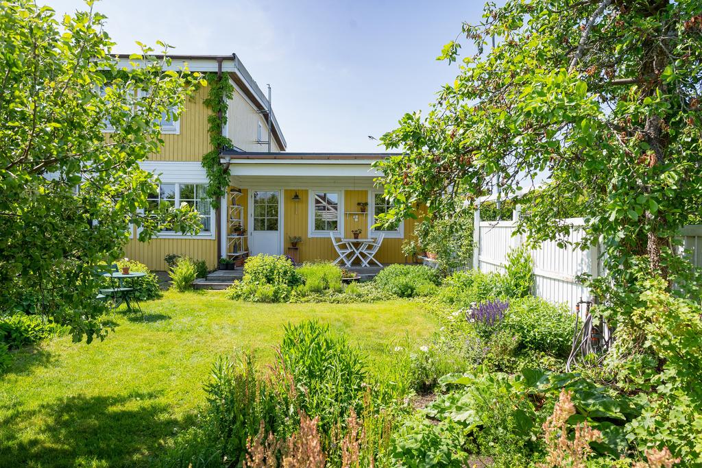 Lummig baksida