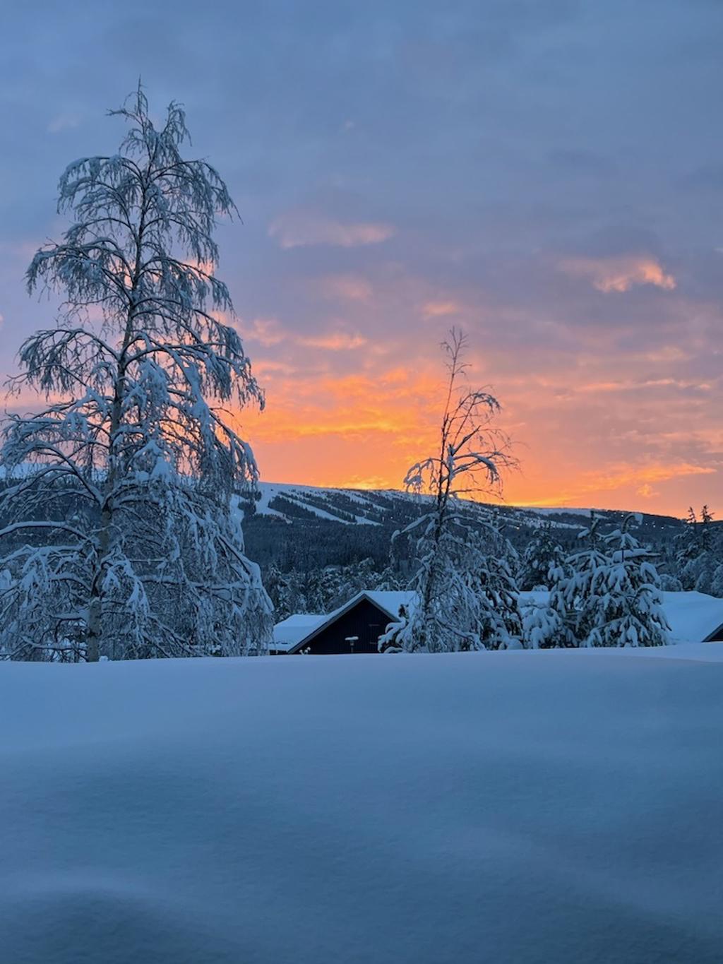 Säljarens 