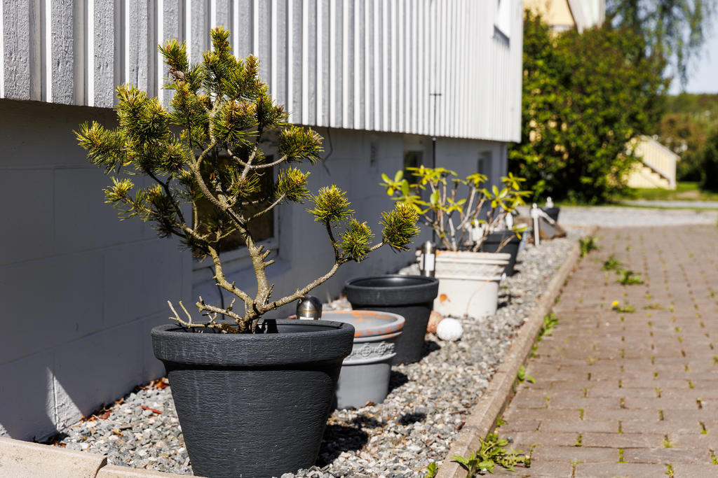 Detaljbild