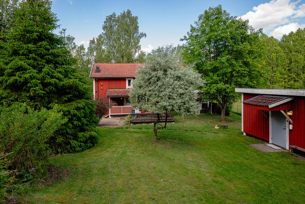 Trädgård