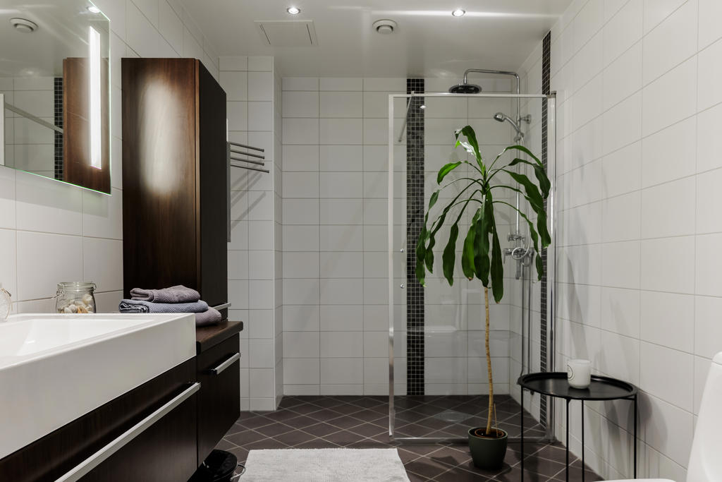 Bostadens andra badrum