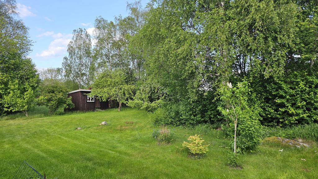 Mäklarens egen bild