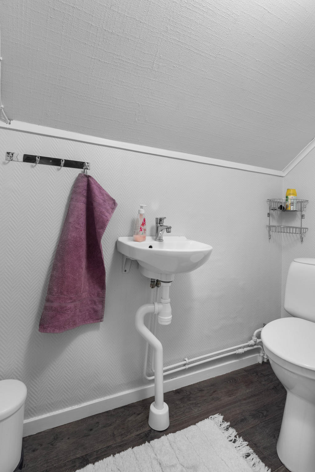 ÖV: Toalett med wc och handfat