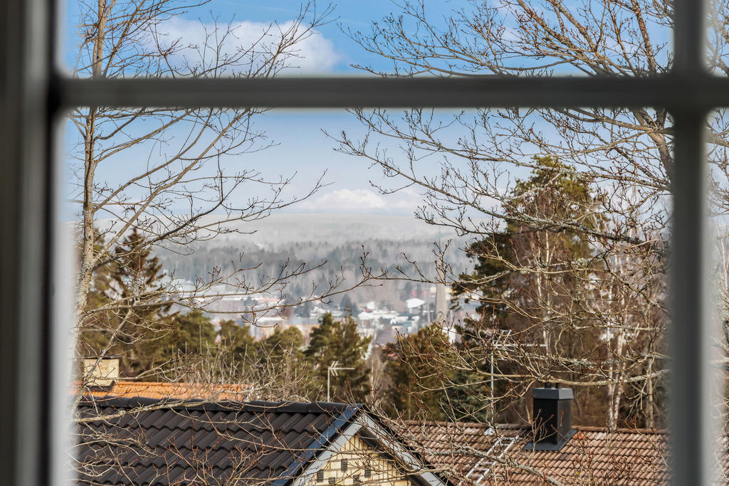 Vacker utsikt över takåsar