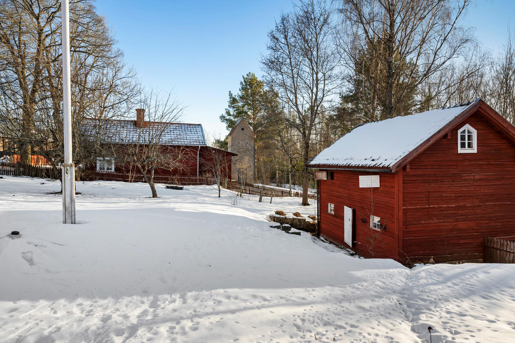 Trädgård