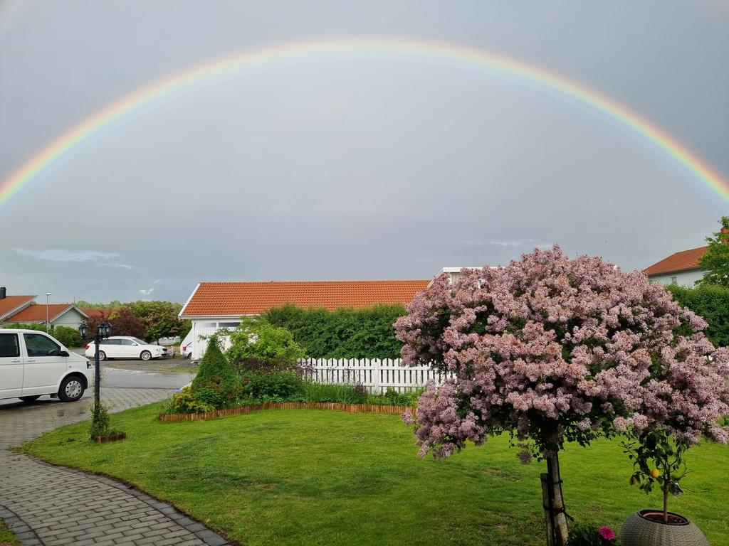 Säljarnas egna bilder